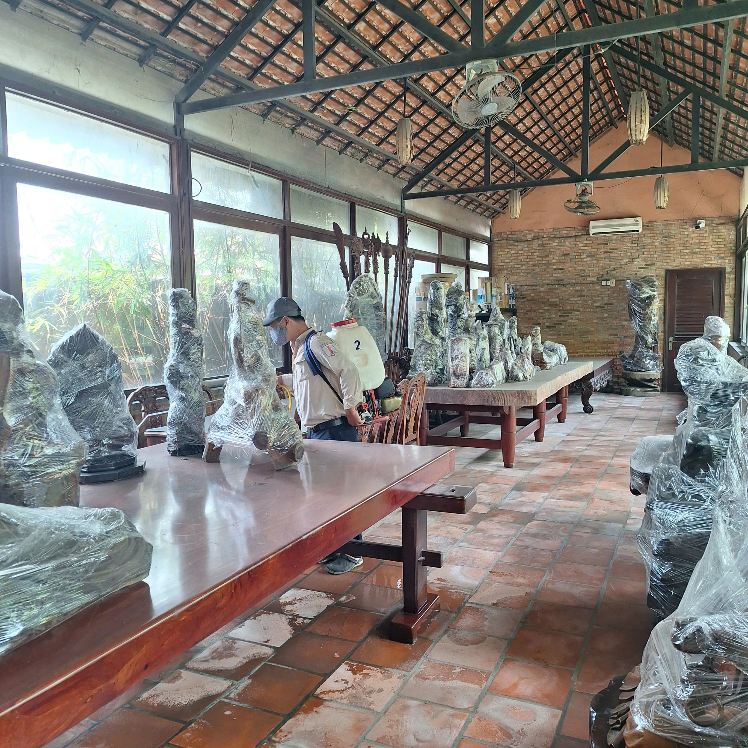 Dịch vụ diệt mối